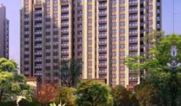 馨河湾小区孩子最新爆料,揭秘小区神秘事件真相